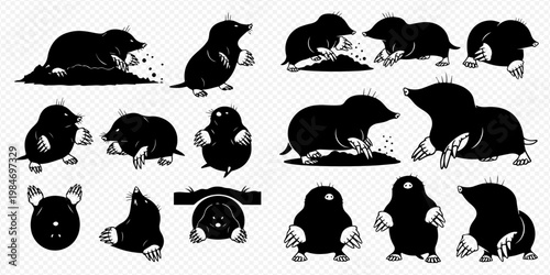 Set of black and white mole illustrations in various poses, digging and standing, isolated on a transparent background.