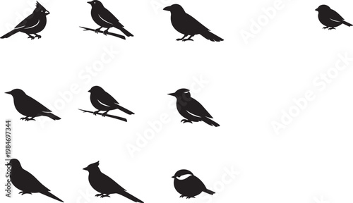 Birds Collection Bundle – Wild Nature Wildlife Flying Birds Set Illustration Pack