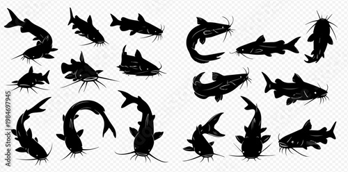 Set of black catfish silhouettes in various swimming poses, depicting different angles and movements of the freshwater fish.