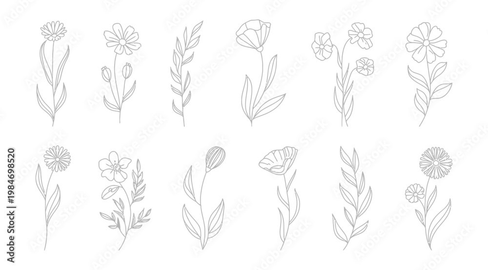 Fototapeta premium Hand drawn floral doodle set with line art flowers and botanical elements