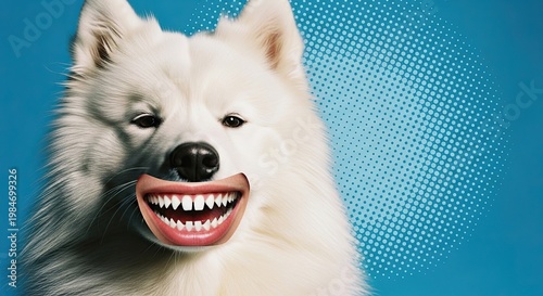Playful Samoyed dog with exaggerated smiling mouth on bright blue background. Energetic Samoyed showcases comical expression, perfect for memes and pop art design.