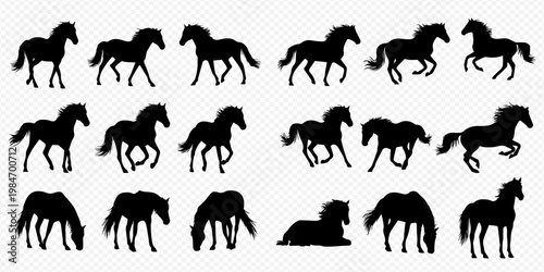 Collection of horse silhouettes in various poses and movements, ideal for graphic design projects.