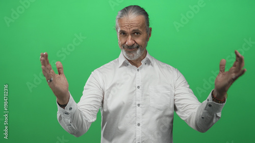 Bilde på lerret Man middle age with long gray hair and open palms gesturing in green studio wearing white shirt; confidence communication