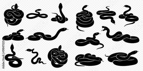 Set of black snake silhouettes in various poses, isolated on a transparent background, representing different species and movements.