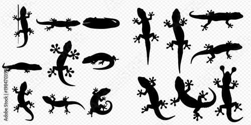Collection of various gecko and lizard silhouettes in different poses, showcasing reptile diversity and natural forms.
