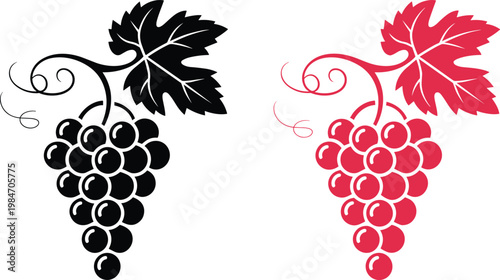 Grape bunch vector illustration with leaf and vine in black and red silhouette styles for wine logo winery branding and organic fruit packaging design.