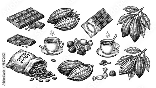Vintage chocolate and cocoa bean engraving with cup and candy