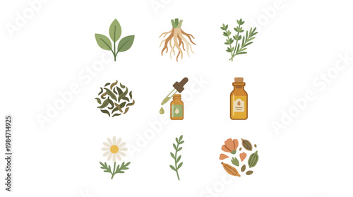 Herbal medicine icons with plants and bottles on white background for health and wellness.