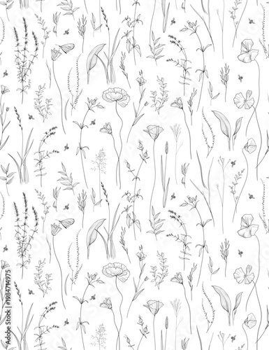 Seamless pattern. Field flowers and grasses, line drawing. Vector illustration	