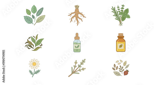 Herbal medicine illustrations show various plants and bottles of oil on a white background scene.