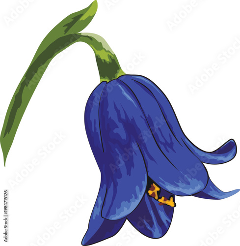 Vector illustration of blue flowers in realistic style, blue bell flowers. Spring flowers
