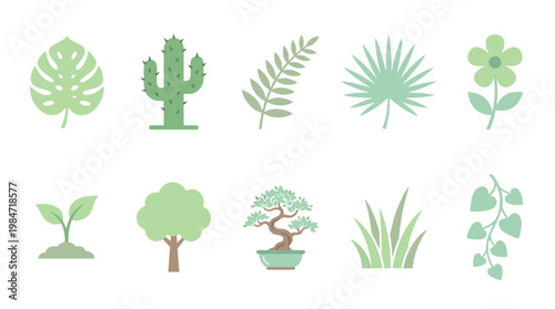 Various green plants and trees in pots on a white background illustration.