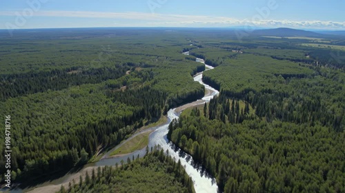 Jet Perspective Above Endless Forest Rivers Flowing Through Untouched Green Wilderness in Majestic Serenity