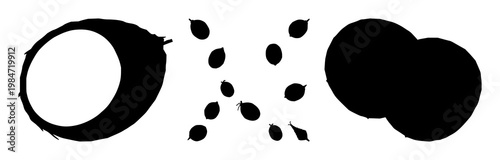 Coconut set with black silhouette and white background featuring tropical fruit, beach, foliage with illustration and vector