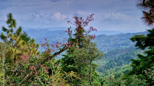 A scenic hillside view in Mukteshwar, Uttarakhand, India, featuring a branch with reddish leaves in foreground overlooking lush green valleys, layered mountains, and a cloudy sky.