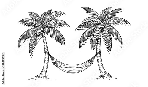 Hammock between palm trees beach sketch vector tropical island illustration