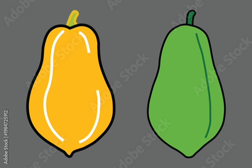 Papaya fruit vector illustration, ripe yellow and unripe green papaya icons, tropical exotic fruit set isolated on grey background