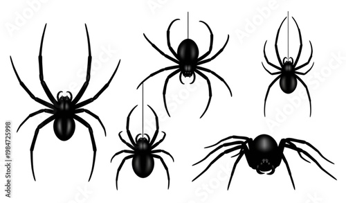 Set of Black Spider Silhouettes Hanging from Webs for Halloween, Spooky Decorations, and Horror Graphics