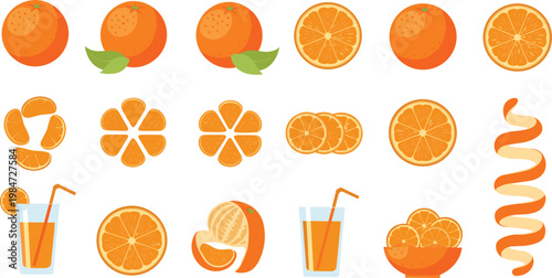 Orange fruit vector illustration collection with whole citrus slices segments juice glasses spiral peel and fresh juicy elements isolated on white background.