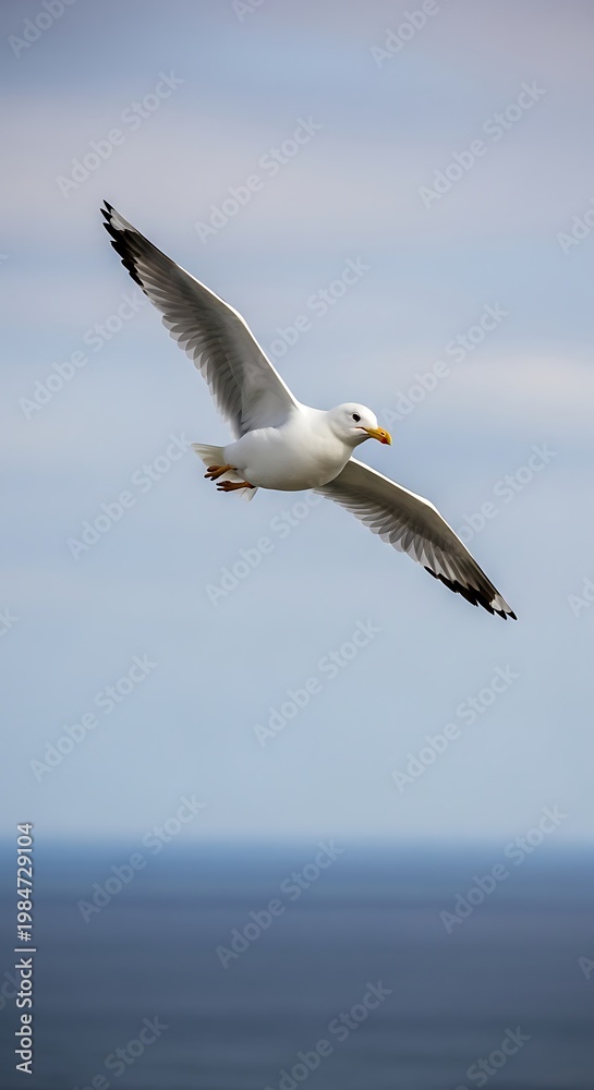 Fototapeta premium A majestic white bird with outstretched wings soars against a soft blue sky over calm water