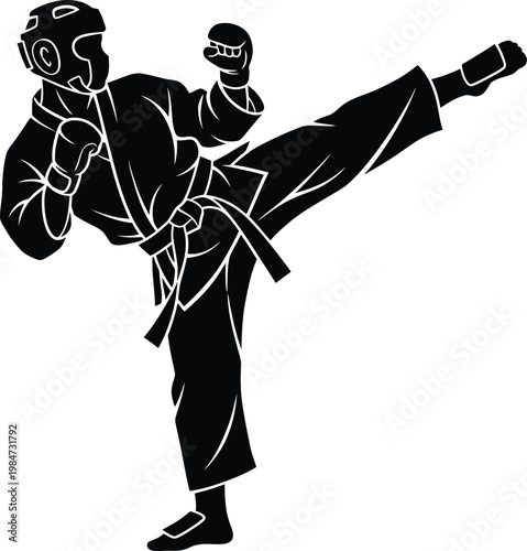 Martial arts silhouette karate fighter action kicking with protective gear