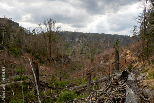 Wanderung auf dem Großen Reitsteig in der Sächsischen Schweiz 3