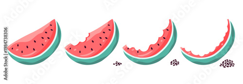 Eating watermelon. Juicy fruits slices, bites step by step. Eat juicy, vitamin-rich fresh fruit step by step. Cartoon watermelons and seeds, nowaday vector set