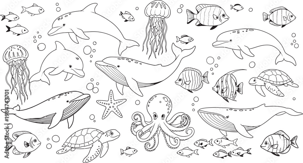 Fototapeta premium Vintage zoological illustration a collection of whales dolphins and fish sketches