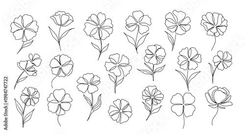 Flowers hand-drawn set with delicate petals and stems in black and white featuring floral, nature, illustration with botanical and sketch elements