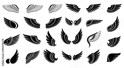 Wings set with various designs and styles for artistic and symbolic use featuring black and white, vector, illustration with graphic and design