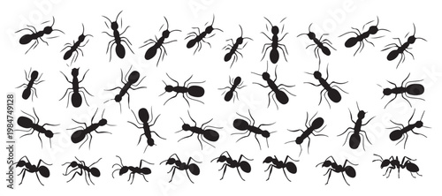 Scattered Ant Silhouette Collection for Natural History and Wildlife Design. vector illustration eps 10