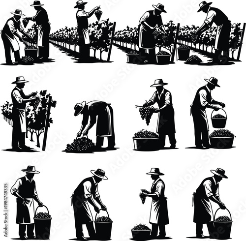 Grape harvest silhouettes showing vineyard workers with black and white food production vineyard silhouette agriculture collection traditional illustration cultivation plantation viticulture