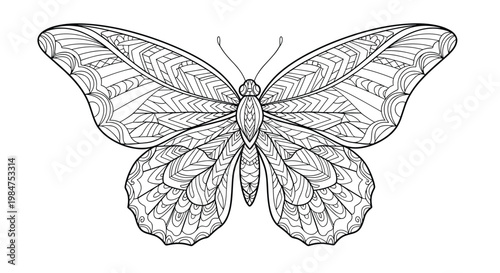 Intricate black and white butterfly line art illustration with complex geometric and floral patterns on its wings for coloring and art therapy.