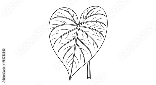 Minimalist black and white line drawing of a single heart-shaped tropical leaf with detailed veins on a plain background.