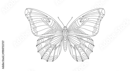 Highly detailed butterfly line drawing with complex geometric patterns in its wings intended for artistic coloring projects.