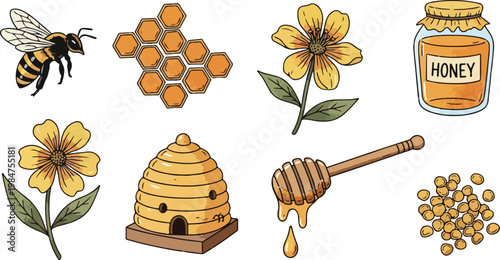 Hand Drawn Bee Keeping and Honey Production Elements Set, World Bee Day Concept, Spring Nature Illustration Isolated on White Background
