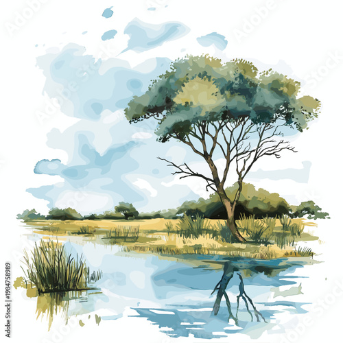 Okavango Delta. Okavango Delta hand drawn watercolor illustration on white background