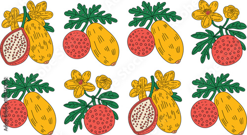 Exotic Fruit Illustration Set with Hand Drawn Tropical Fruits Including Pineapple Strawberry Passionfruit and Leaves for Fresh Organic Food Design Collection