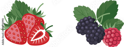 Fresh Strawberry and Blackberry Fruit Illustration Set with Sliced Strawberry Detail and Natural Organic Berry Collection Vector Design