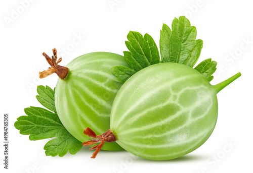 Obraz na plátně Fresh green gooseberries with leaves isolated on transparent background
