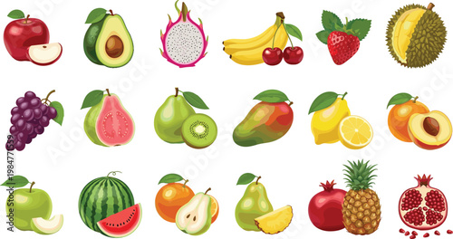 Fresh tropical fruit vector set featuring dragon fruit durian avocado mango guava pineapple and watermelon illustrations for healthy organic food branding and grocery store advertising designs