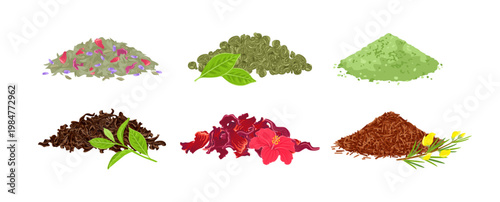 Different types of tea isolated on white background. Heap of dried black and green tea leaves, hibiscus and herbal tea, matcha and rooibos. Vector flat cartoon illustration. 