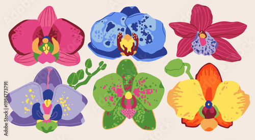 Beautiful Orchid flowers. Exotic floral set. Unique trendy style. Colorful blossom collection. Hand drawn Vector illustration. Isolated design elements. Print, collage, sticker, print templates
