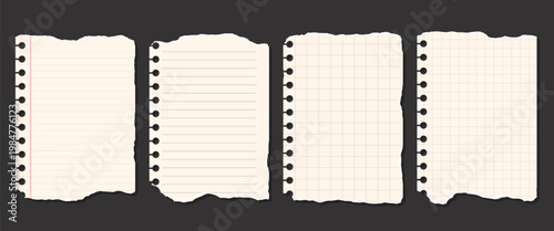 Realistic Ripped Note Paper Set Torn Notebook Sheets with Binder Holes Lined and Grid Paper Pieces Isolated for Collage Design
