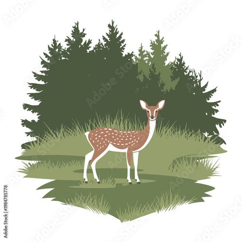 deer in the forest