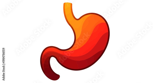 human stomach anatomy glowing internal organ medical vector illustration