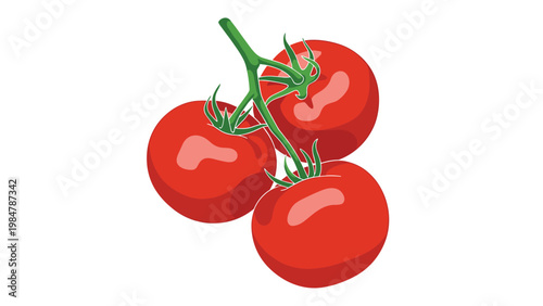 Three ripe red tomatoes are shown still attached to their green vine in a realistic and appetizing food illustration on a plain white background.
