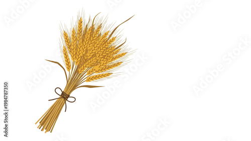 Bundle of golden wheat stalks is tied with a dark string and shown in a detailed illustration representing harvest time and agricultural wealth.