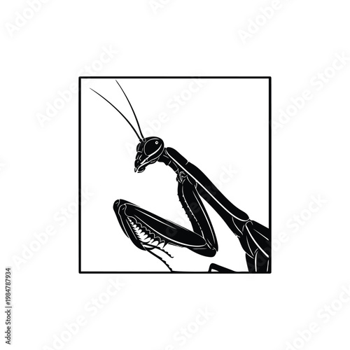 vector illustration of a praying mantis showcasing its distinctive forelegs and sharp spiked forearms
