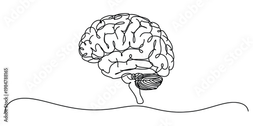 Minimalist Continuous Line Drawing of a Human Brain Illustration